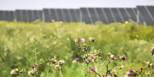 0.27元/千瓦時:德國太陽能招標中標價創最低紀錄